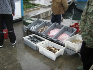 bulgraria 1-3 mai 2009 009