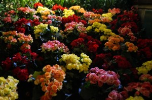 image107