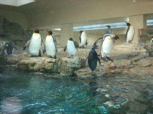 05-08.12.2009-viena 037