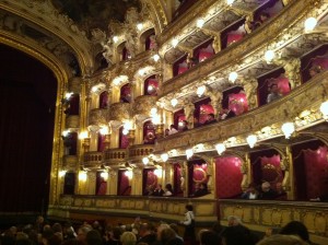 Foto Iphone 01.06.2011 214