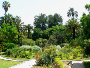 orto botanico