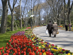 julian-love-tulips-bloom-in-gulhane-park-istanbul-turkey