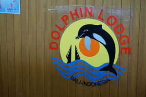 dolphin lodge