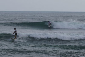 surf